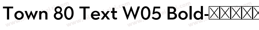 Town 80 Text W05 Bold字体转换